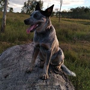 Meet your Posher, Bethany